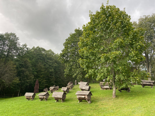 Ancient Beekeeping Museum, Lithuania
