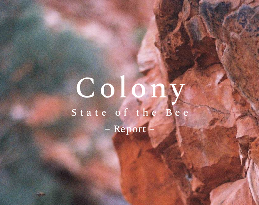 State of the Bee Report