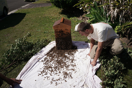 Advancements in swarm research