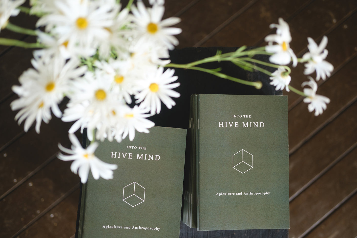 Into the Hive Mind