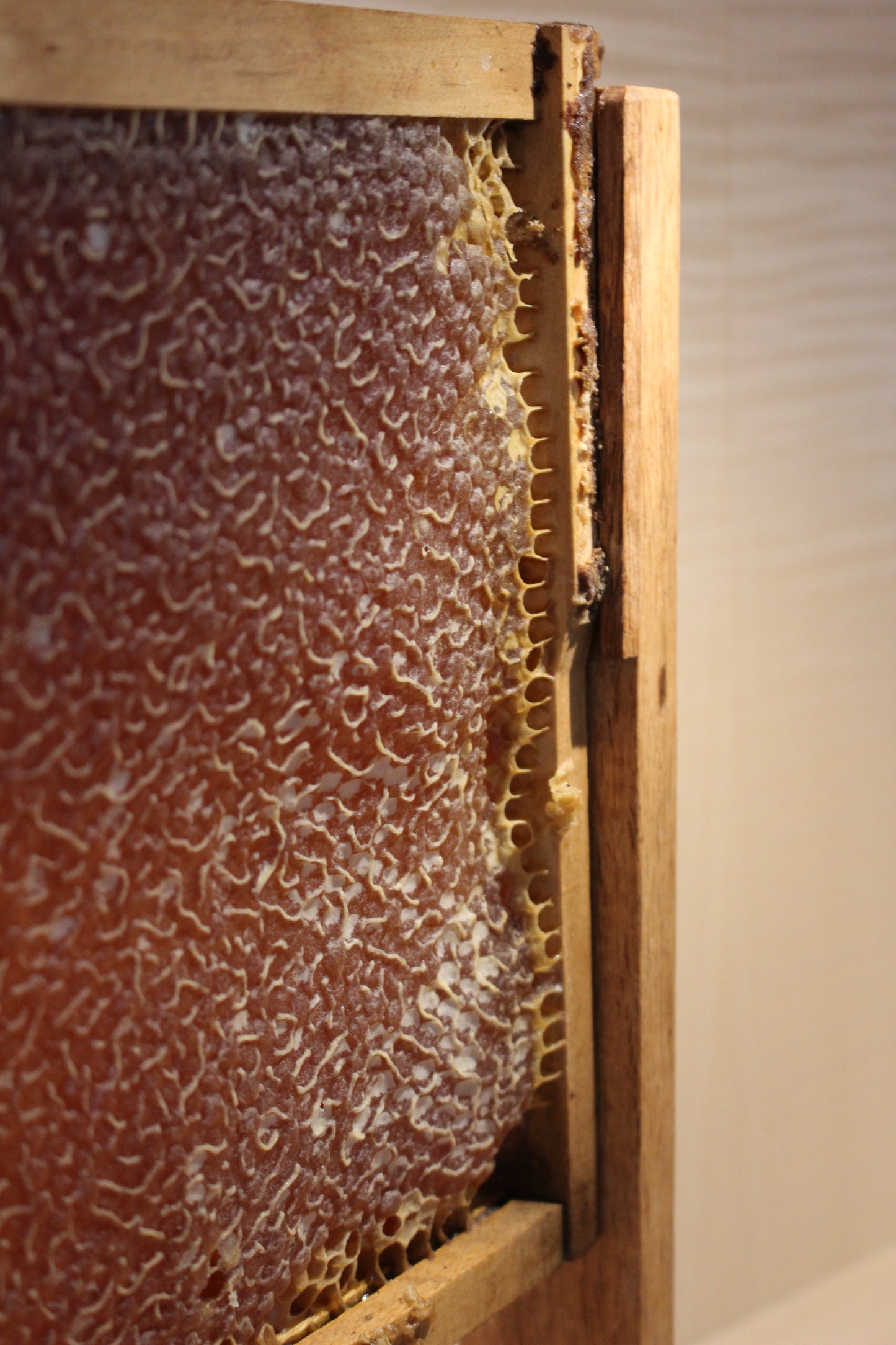 Honeycomb