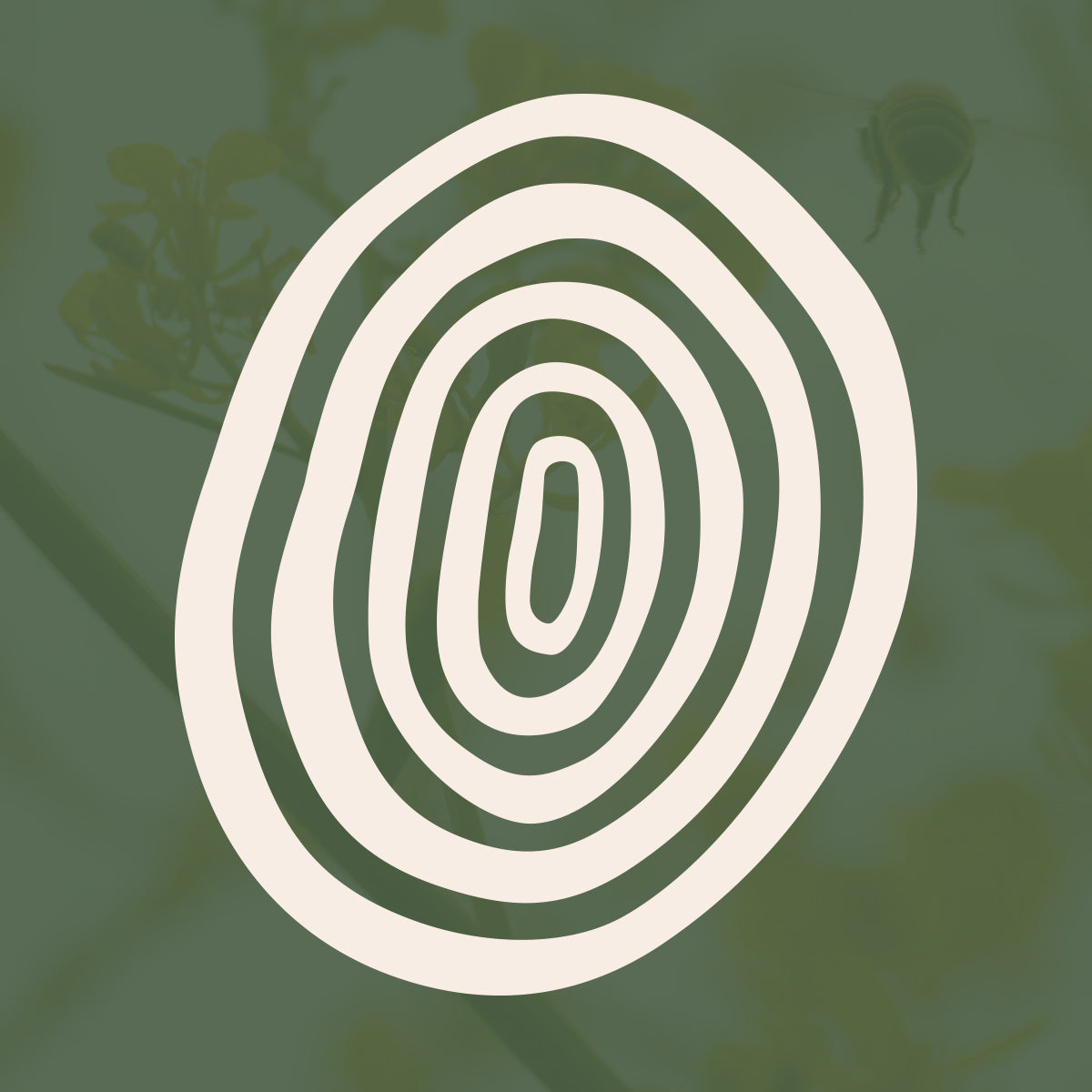 Gold Honeybee Sanctuary