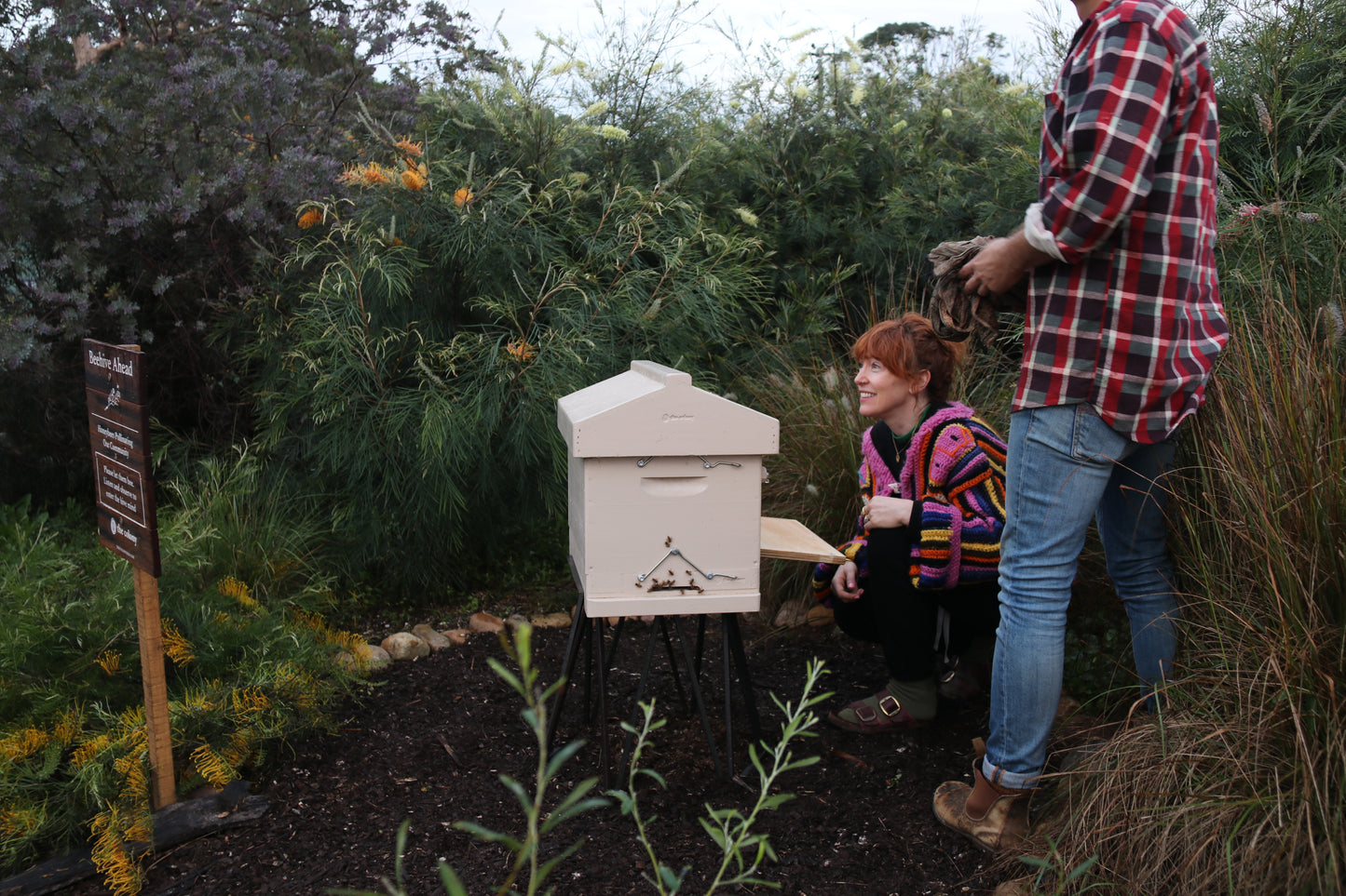 Service - Hive Care