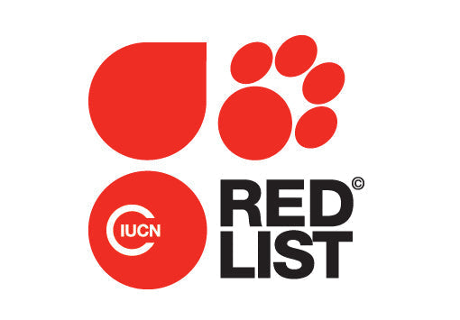 IUCN Red List, wild population of Western Honey Bee