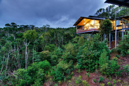 Sanctuary, O'Reillys Retreat, Queensland