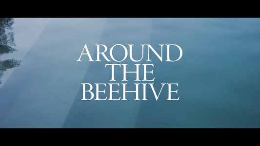 Around The Beehive