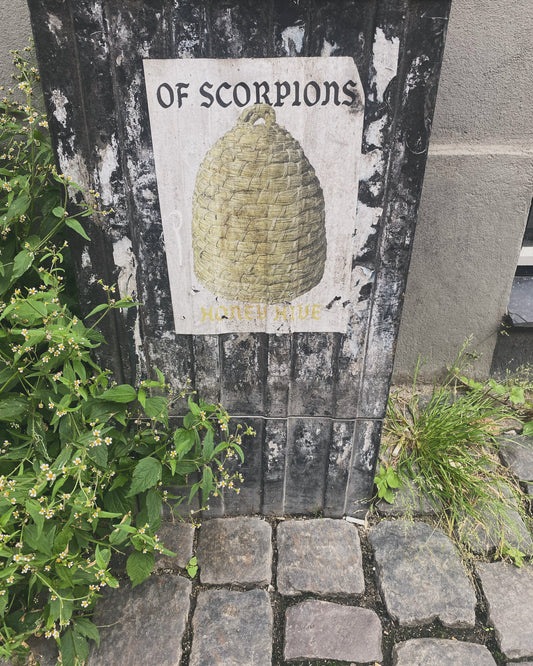 Chelifers, Copenhagen, Denmark
