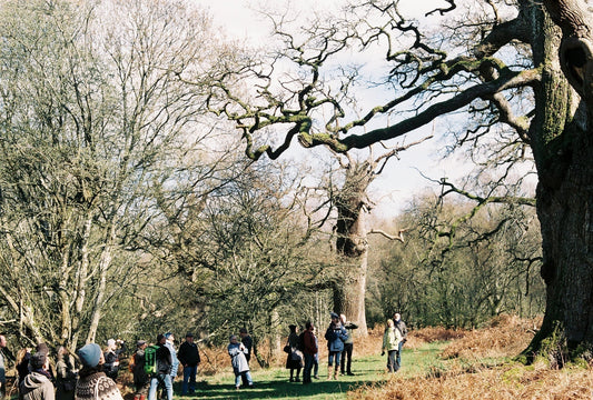Wild Bee Tour of Blenheim Palace, England