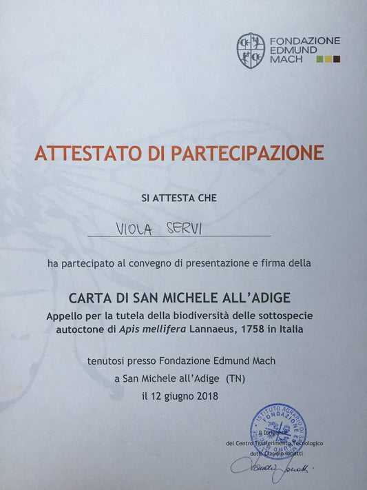 Charter of San Michele all’Adige: Full English Translation