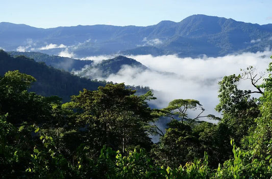 Owen Stanley Ranges, Papua New Guinea