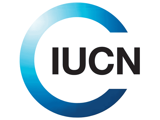 Colony Bees join IUCN