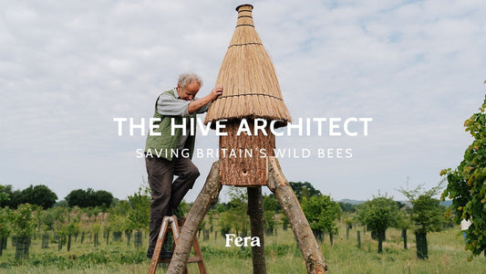 The Hive Architect