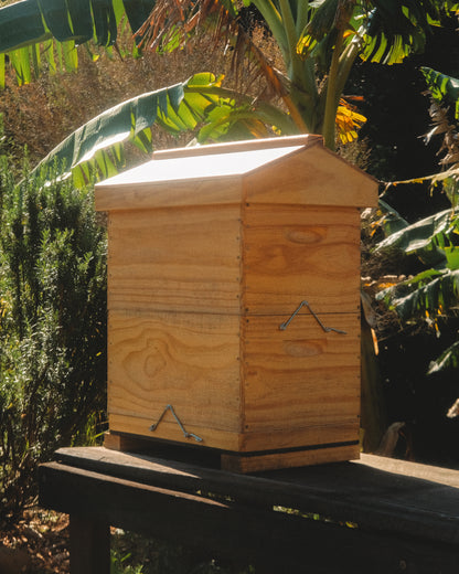 Gold Honeybee Sanctuary