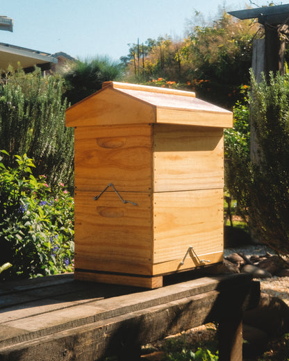 Gold Honeybee Sanctuary