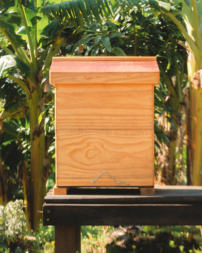 Gold Honeybee Sanctuary