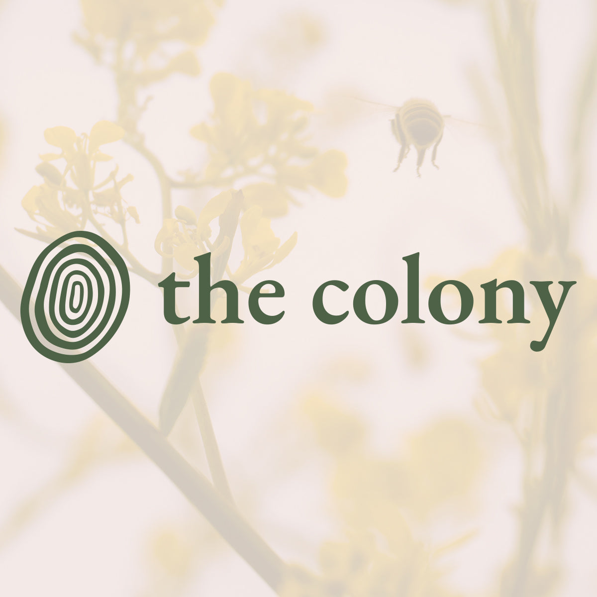 Gold Honeybee